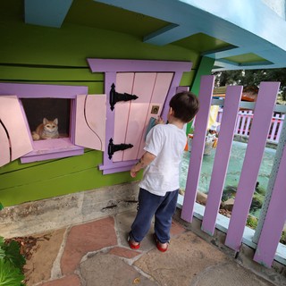 Young Child Discovers Cat in Colorful Miniature House