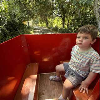 Adventure Awaits in Walnut Creek