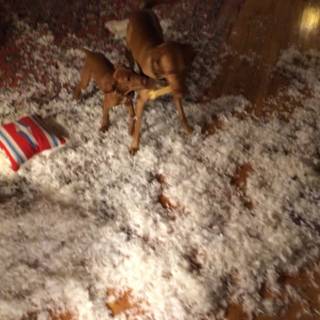 Puppies Playing in a Shredded Paper Party