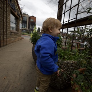 Young Child Exploring Urban Community Garden