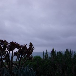 Coastal Evening with Dramatic Purple Sky