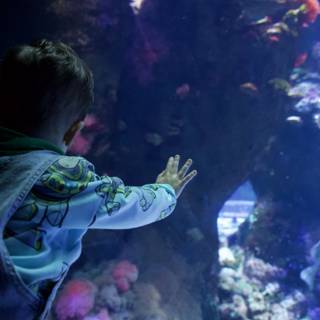 Childhood Wonder: An Encounter with the Deep Sea