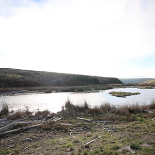 coastal wetland/estuary