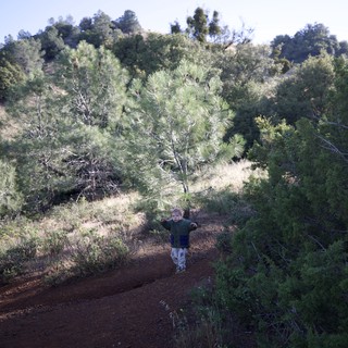 Young Explorer Conquering the Trails of Mount Diablo