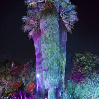 Enchanted Palm in a Garden of Lights