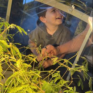 Curious Encounters in the Greenhouse