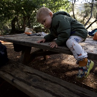 Fearless Toddler Conquers Campsite Picnic Table