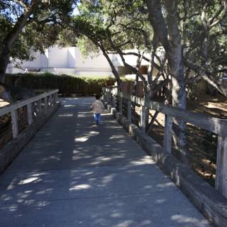 Pathway to Adventure
