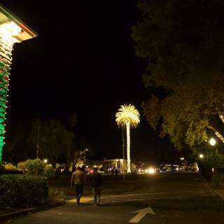 Strolling under the Palms: A Nocturnal Journey