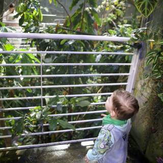 Young Explorer in the Greenhouse