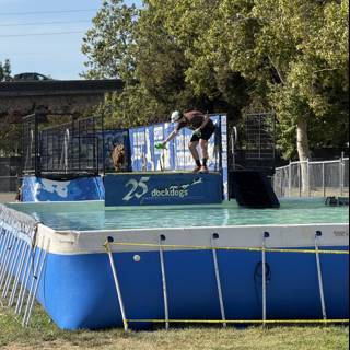 Summer Fun at the Dock Dogs Event