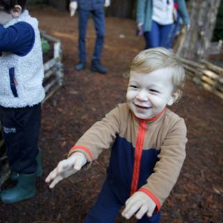 Laughter Among the Trees