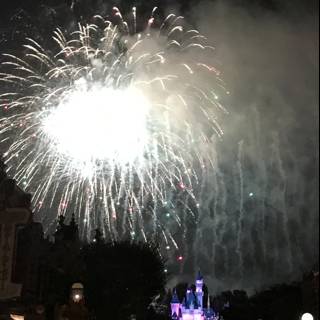 Sparkling Disneyland Fireworks Display