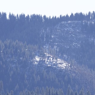 Layered Forest Ridges in Winter Haze