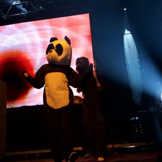 Panda Bear Takes the Stage