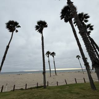 Tranquil Shores of Oxnard