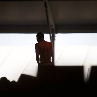 Shadowed Figure at Coachella