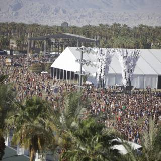Coachella 2014 - The Masses
