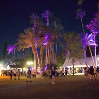Neon Nights: A Vibrant Evening at Coachella 2024