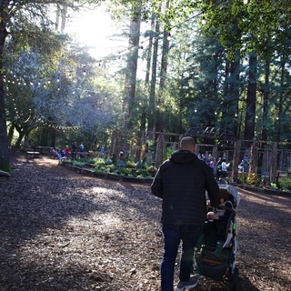 Community garden or urban park