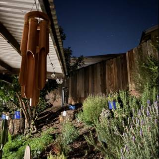 Moonlit Herbal Symphony