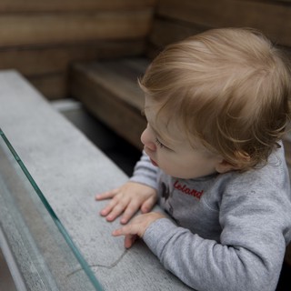 Curious Toddler Exploring Wooden Bench in SLO