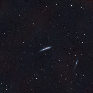 NGC 4631 - The Whale Galaxy in Narrowband SHO Palette
