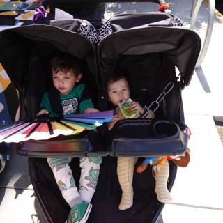 Double Delight in the Stroller