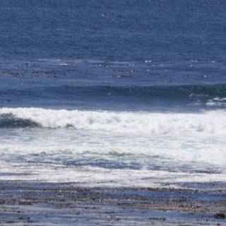 Ocean Symphony