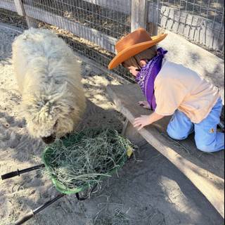 Rustic Encounters in Carmel Valley