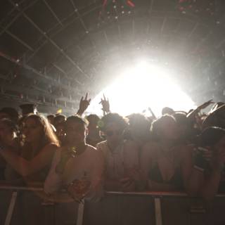 Sun-Kissed Concert Crowd
