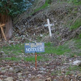 No Trespassing in the Graveyard