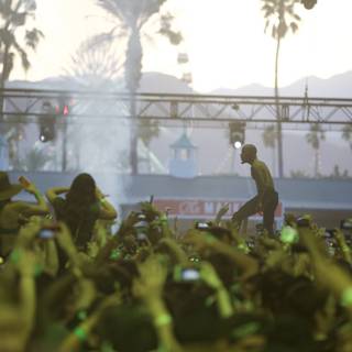 Palm Trees and Music: A Coachella Crowd
