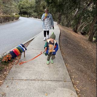 Strolling Through Carmel Valley