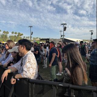 Festival Anticipation