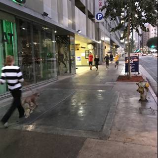 Walking the Dog in the City