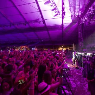 Purple Haze at Coachella Concert
