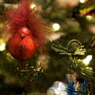 Festive Christmas Tree with Red Cardinal Ornament