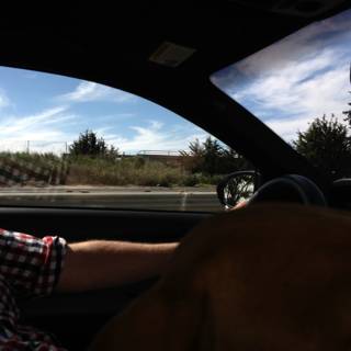 Driving with My Canine Companion