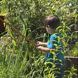 Young Gardener's Discovery