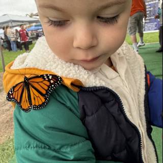Butterfly Encounter in Plaza Park