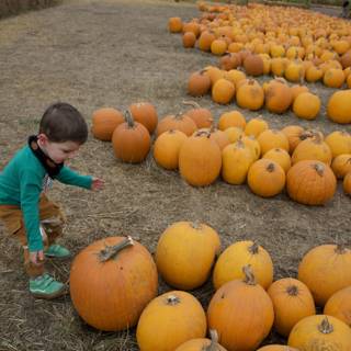 Autumn Adventures