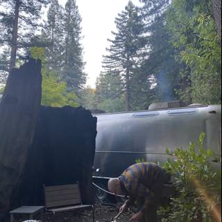 Grilling in the Forest