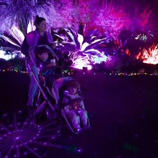 Enchanted Evenings in the Garden of D'Lights