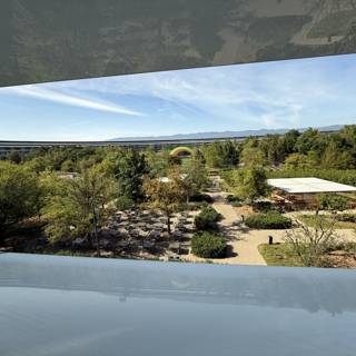 A Serene Morning at Apple Park