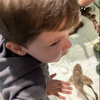 Curious Discoveries