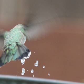 Captivating Motion