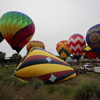 Colorful Hot Air Balloons Launch at Sonoma County Classic