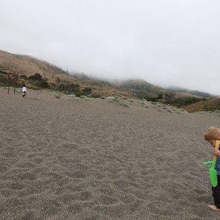 Children Playing on Foggy California Coastal Beach
