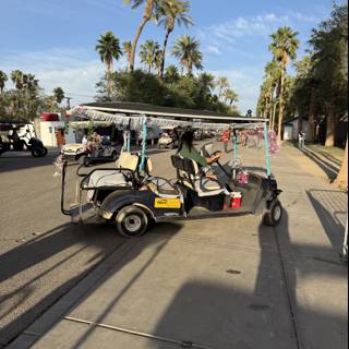 Golf Cart Adventures in Indio